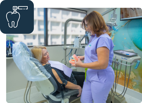 Dentist showing a model of teeth